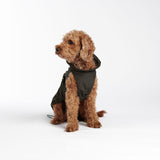 William Walker Hundemantel Superior Dark Moss
