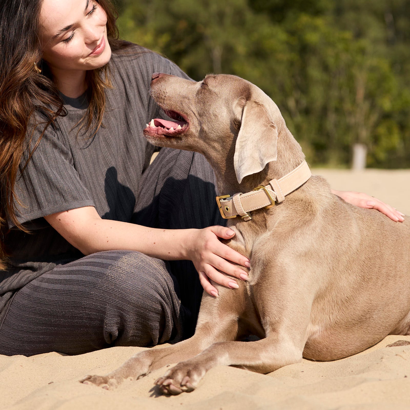 William Walker Wildleder Hundehalsband Almond (Beige)