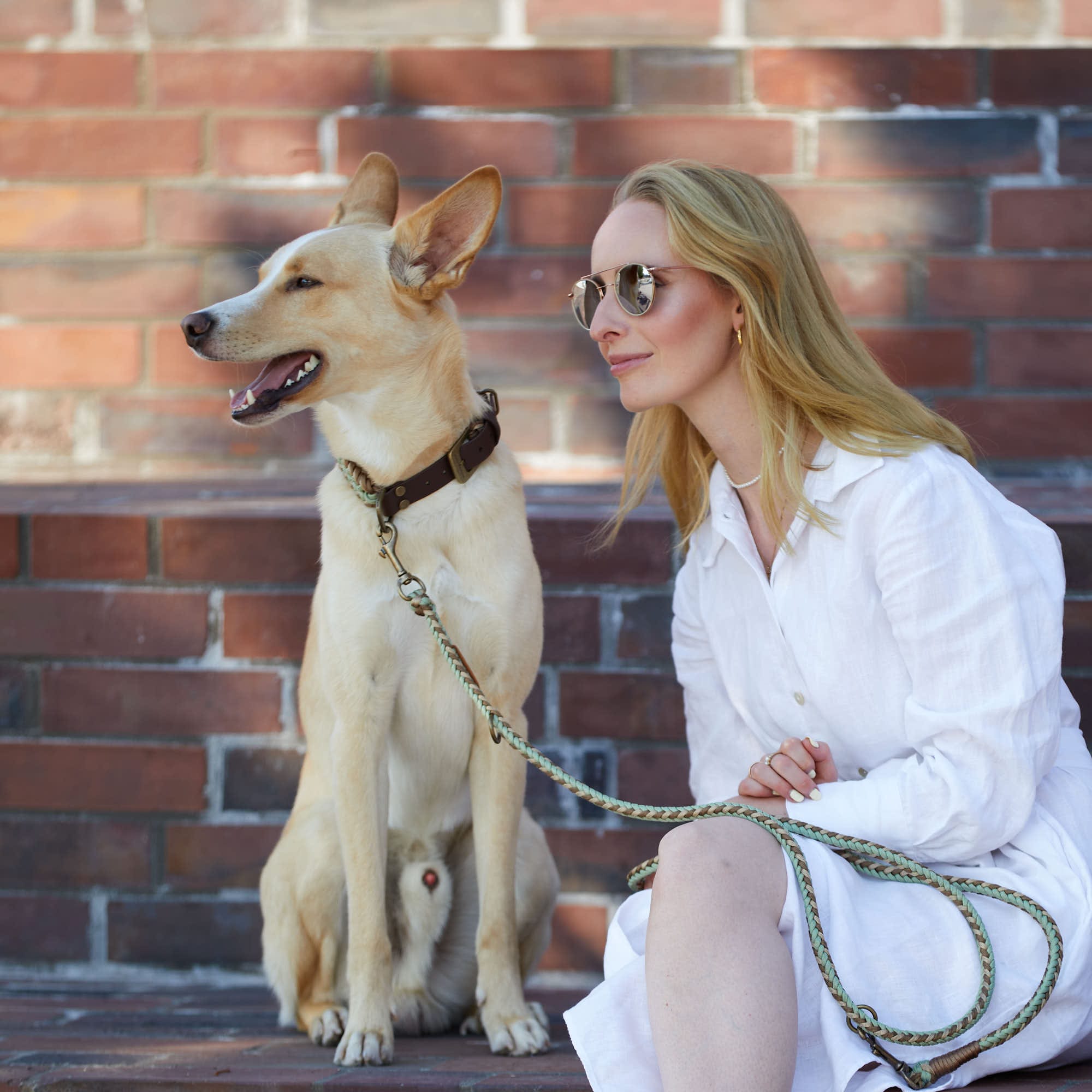 Sommerliche hochwertige Paracord- und Biothane-Hundeleine in Braun, Beige und pastellgrün - Verstellbar, robust und ideal für kleine und große Hunde.