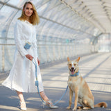 Hochwertiges Echtleder-Hundehalsband mit Leine - Verstellbar, robust und ideal für kleine und große Hunde in hellem Blau / Baby-Blau und mit goldenen Schnallen