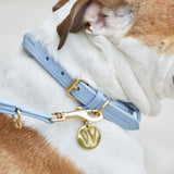 William Walker Hundehalsband Twisted Sky
