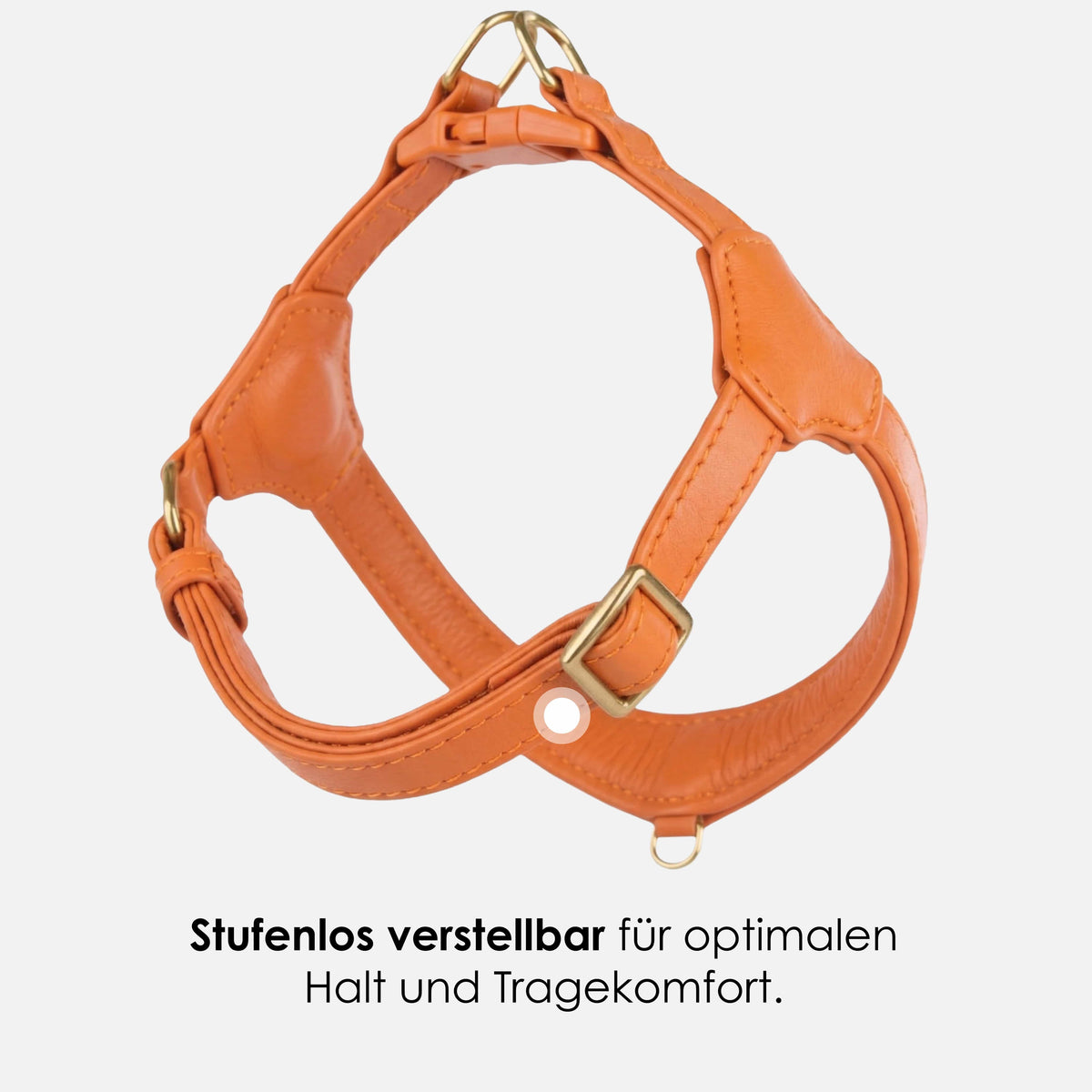 William Walker Step-In Leder Geschirr Pico für kleine Hunde Amber (orange) / 1