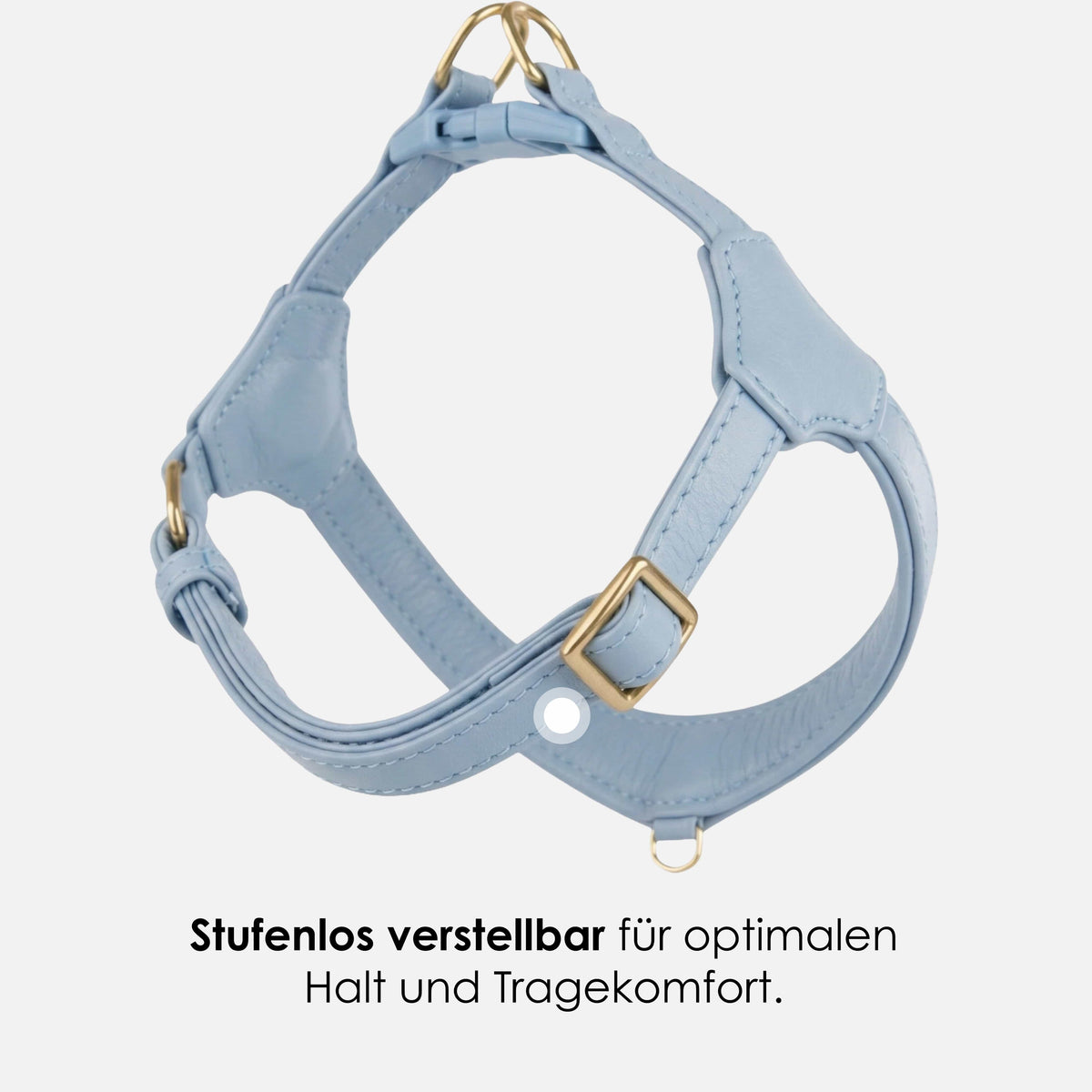 William Walker Step-In Leder Geschirr Pico für kleine Hunde Sky (hellblau) / 1