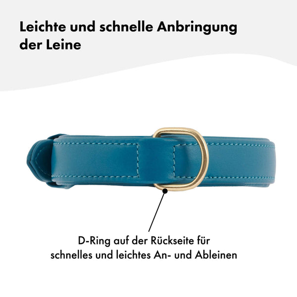 Hochwertiges Echtleder-Hundehalsband - Verstellbar, robust und ideal für kleine und große Hunde in schönem Blau und mit goldenen Schnallen. 