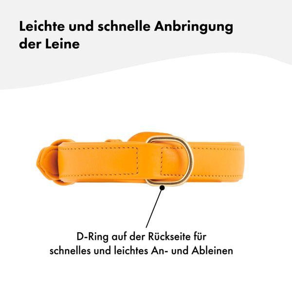 Hochwertiges sommerliches Echtleder-Hundehalsband - Verstellbar, robust und ideal für kleine und große Hunde in knalligem Gelb und goldenen Schnallen. 