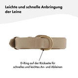 Hochwertiges Echtleder-Hundehalsband - Verstellbar, robust und ideal für kleine und große Hunde in stylischem Beige und mit goldenen Schnallen. 