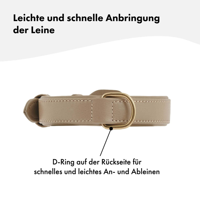 Hochwertiges Echtleder-Hundehalsband - Verstellbar, robust und ideal für kleine und große Hunde in stylischem Beige und mit goldenen Schnallen. 