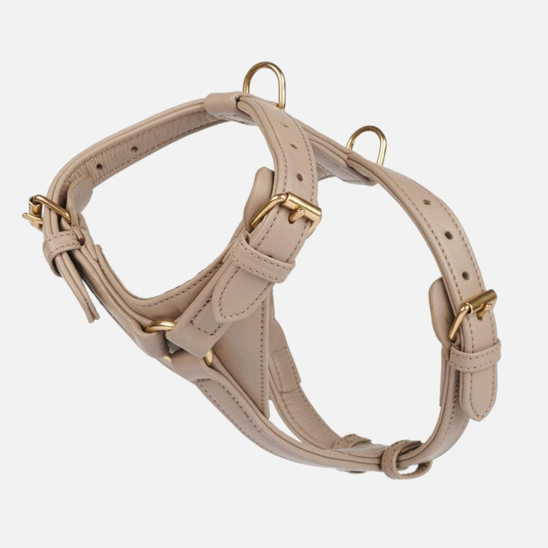 Beige dog harness hotsell