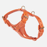 William Walker Leder-Hundegeschirr Amber (Orange)