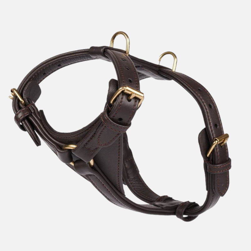 Harnais en cuir pour chien avec fonction anti-traction - William