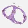 Leder-Hundegeschirr Lavender (Lila)