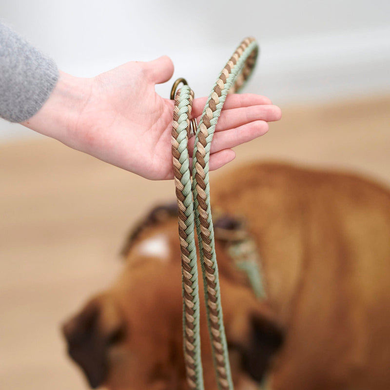 William Walker dog leash Hanseatic from paracord in blue white beige