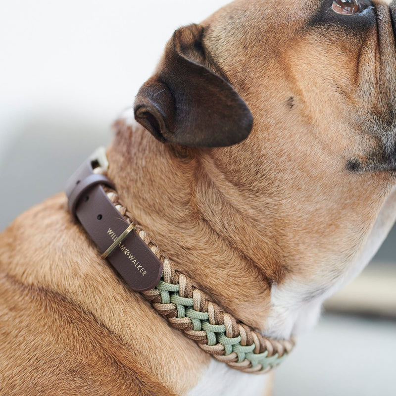 Fine Handmade Paracord Dog Collar Hanseatic William Walker