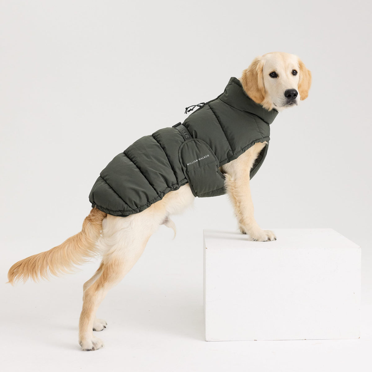 William Walker Manteau d'hiver chaud pour chien Alpine Dark Moss / 1