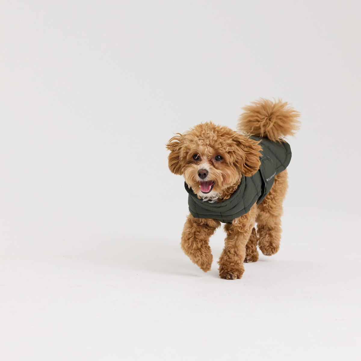William Walker Manteau d'hiver chaud pour chien Alpine