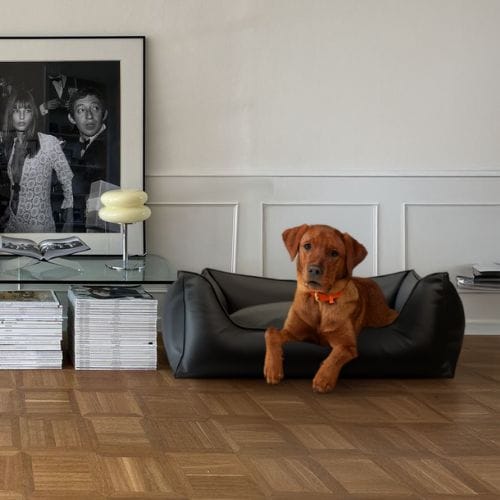 High-quality dog beds and dog cushions from William Walker