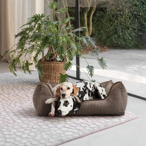 High-quality dog beds and dog cushions from William Walker