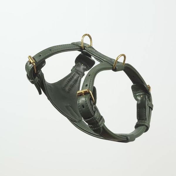 Leather Dog Harness Dark Moss (Forest Green)
