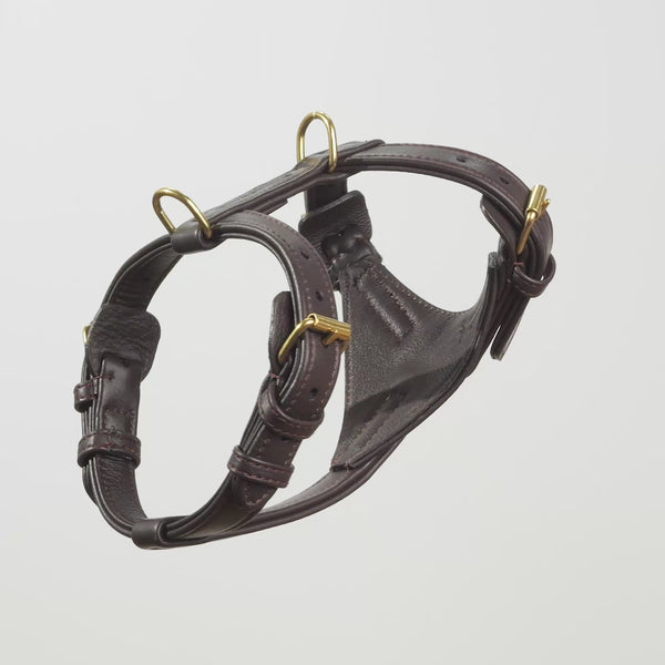 Leather dog harness Earth (Brown)