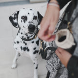 Hundehalsband Noir (Auslaufmodell)
