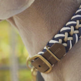 Hanseatic Halsband und Leine mit Weimaraner