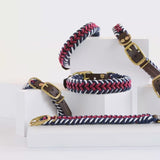 Paracord Biothane Hundehalsband Royal // Limited