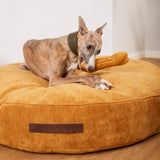William Walker Hundekissen Chill Around Crazy Curry