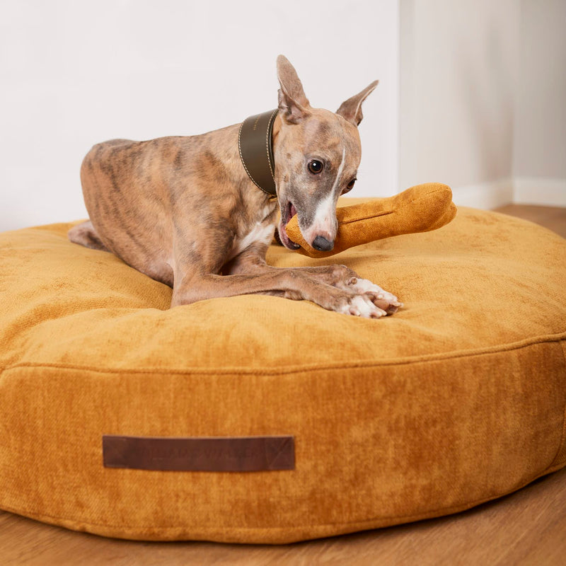 Coussin lit pour chien sain et hypoallergénique