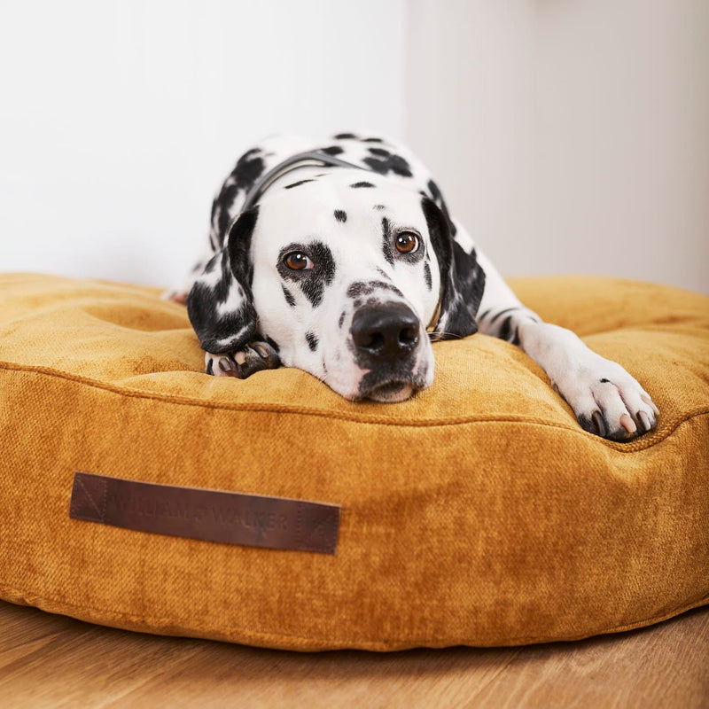 Coussin lit pour chien sain et hypoallergénique
