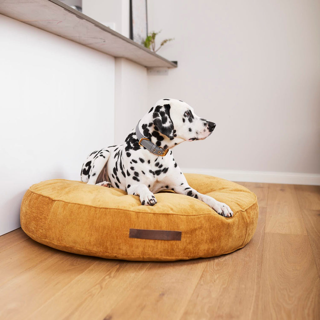 Ugg dog bed best sale large