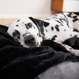 William Walker Hundedecke Fluffy Noir