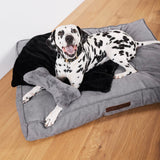 William Walker Hundedecke Fluffy Noir