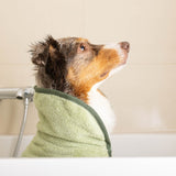 William Walker Dog Bathrobe SPA Moss