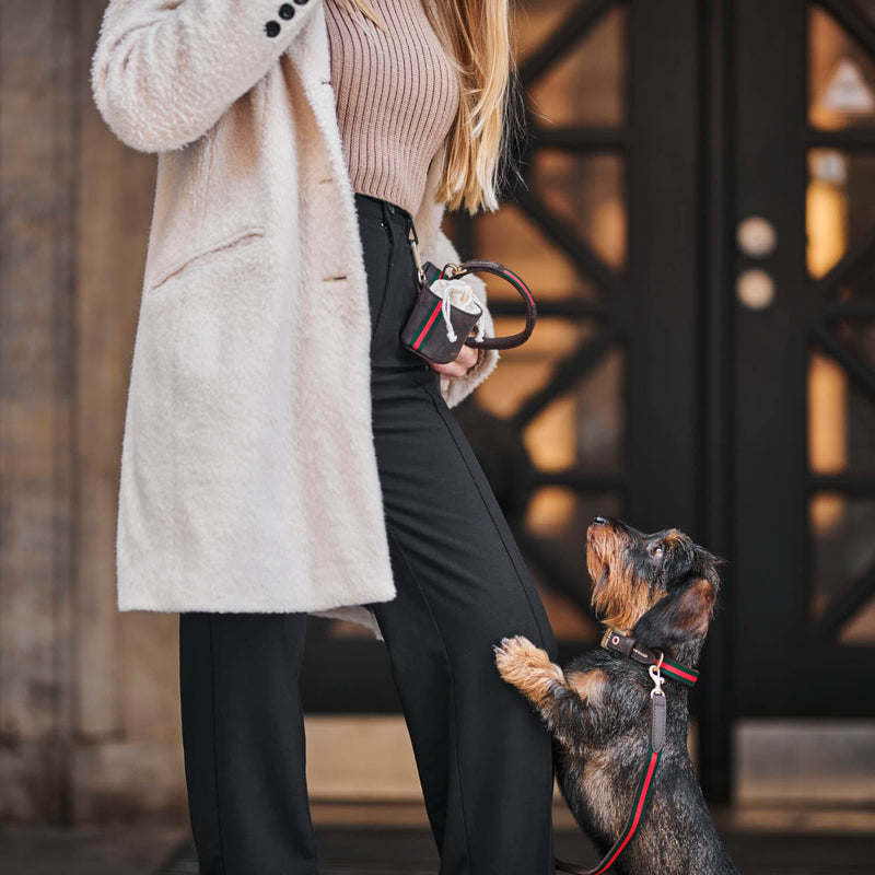William Walker Hundehalsband Florence