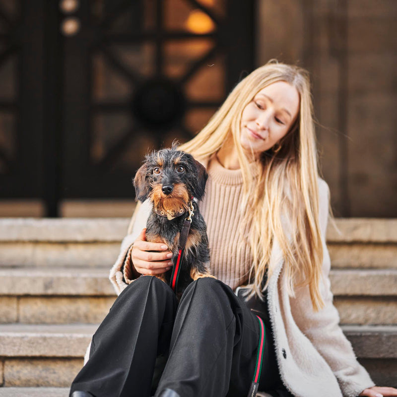 William Walker Hundehalsband Florence