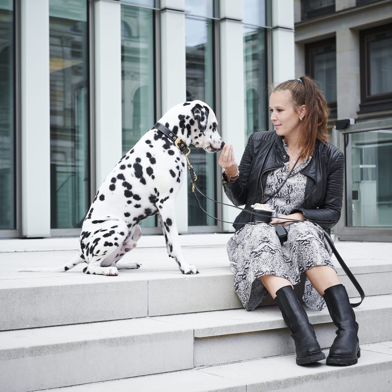 William Walker Hundehalsband Noir