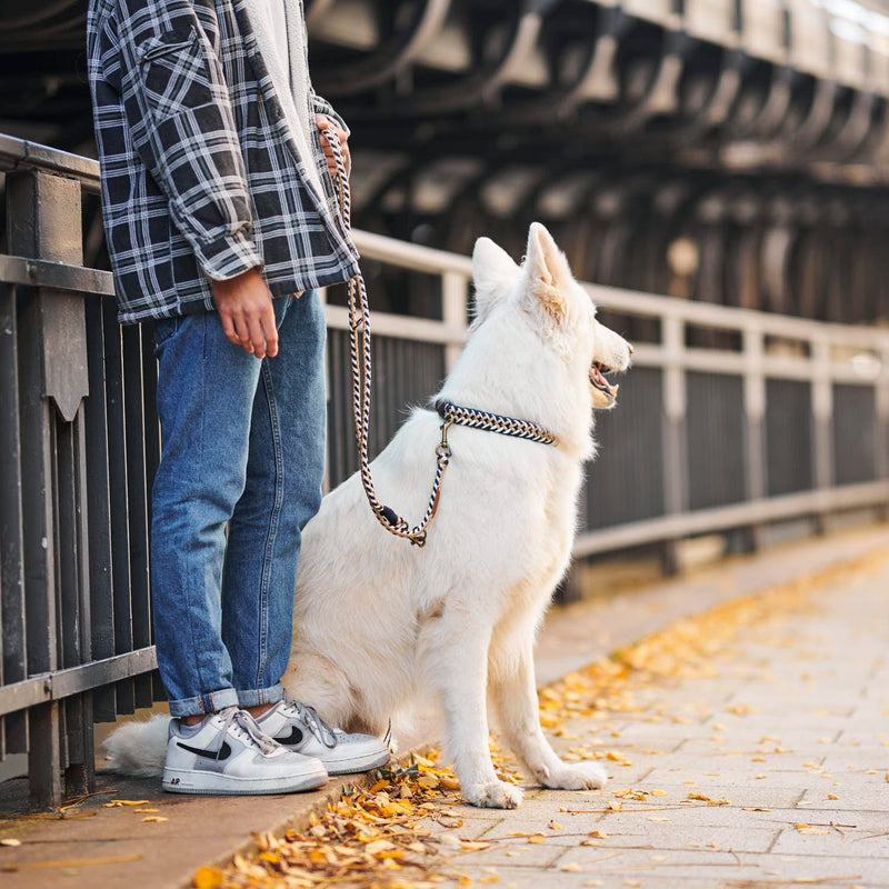 William Walker Paracord Hundehalsband Hanseatic