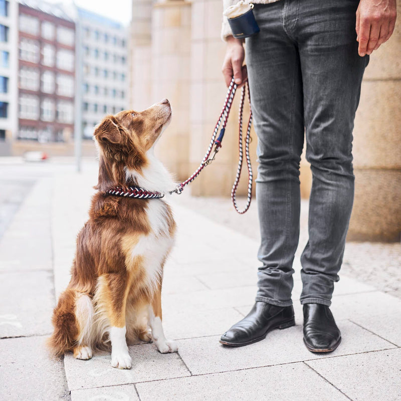 William Walker Paracord Hundehalsband Royal