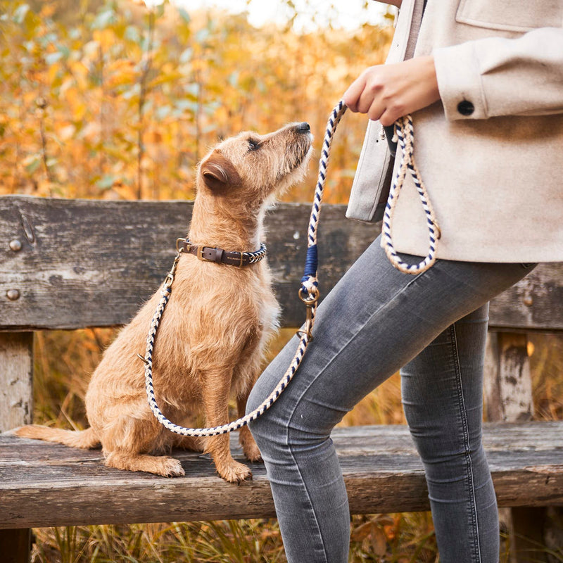 William Walker Paracord Hundehalsband Hanseatic
