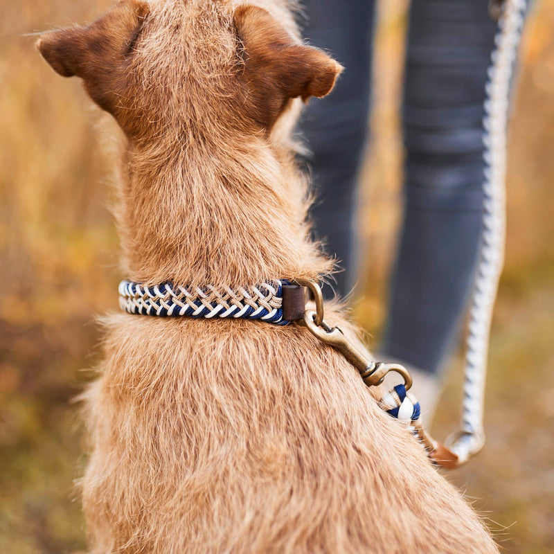 William Walker Paracord Hundehalsband Hanseatic