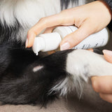 William Walker Healing Balm Heal