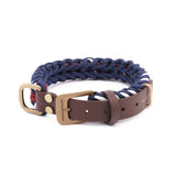 William Walker Paracord Hundehalsband Royal