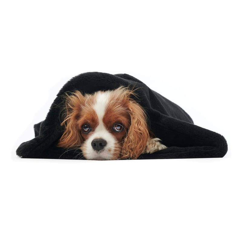 William Walker Hundedecke Fluffy Noir