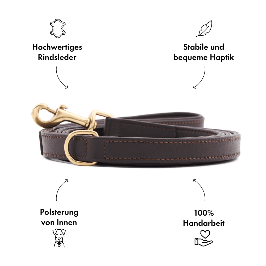 LWBMG Leder-Hundeleine 1,8m – Echtes Geflochtenes Leder Mit Messinghaken – Für Große, Mittlere & Kleine Hunde