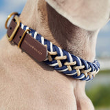Paracord Biothane Hundehalsband Hanseatic // Limited