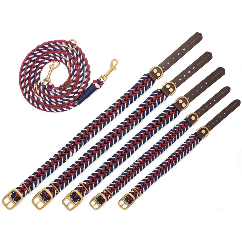 Paracord Biothane Hundehalsband Royal // Limited